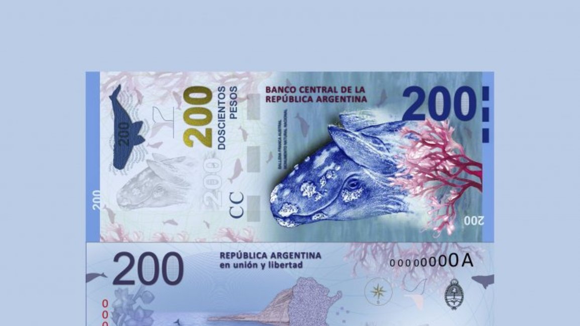 Y Güemes no será... los nuevos billetes estarán ilustrados con animales de la fauna autóctona