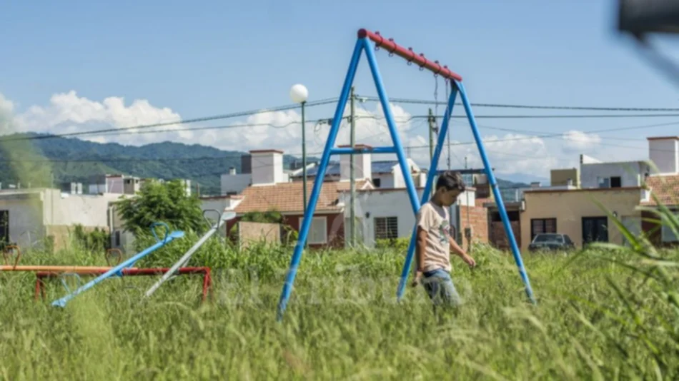 Vecinos de Mirasoles piden desmalezamiento de plazas