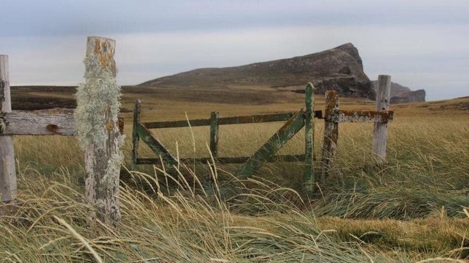 Provocación: kelpers quieren un muro en Malvinas para "mantener a Argentina fuera"