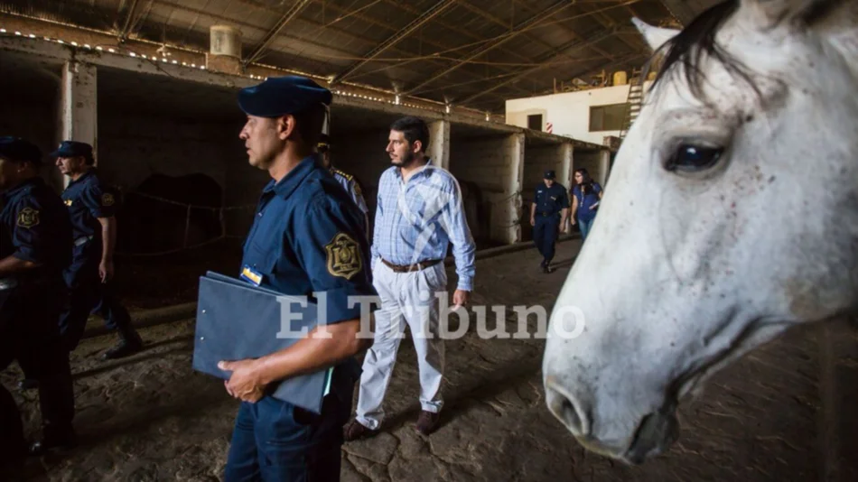 Urge el cambio de la ley por los caballos judicializados