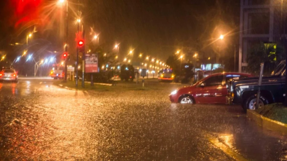 El temporal dejó evacuados, voladura de chapas y caída de árboles y cables