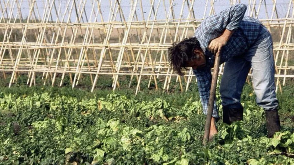 La Federación Agraria reclama soluciones para los pequeños y medianos productores