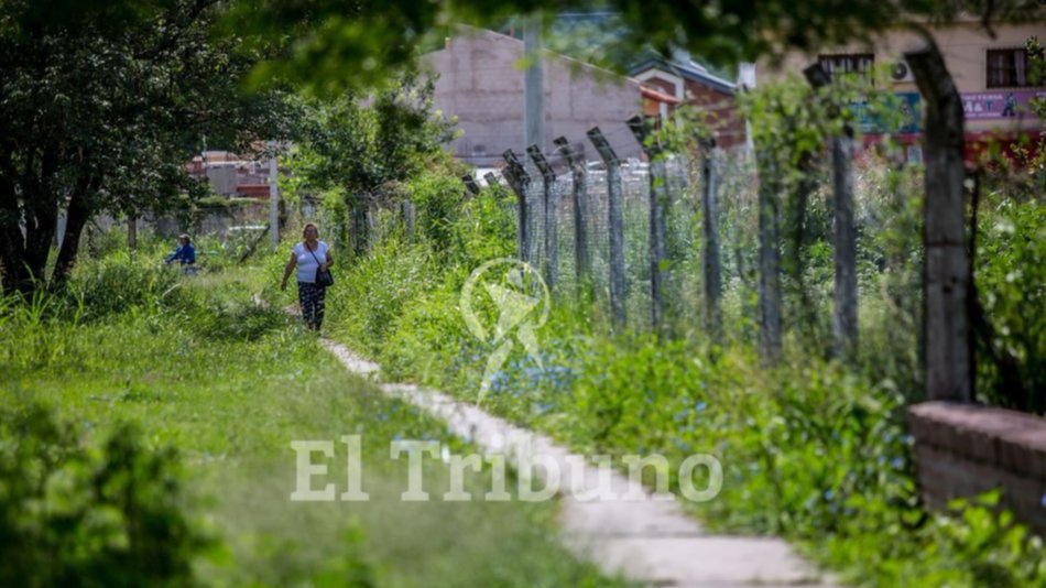 Escuelas con pastizales, en plena campaña contra el Aedes