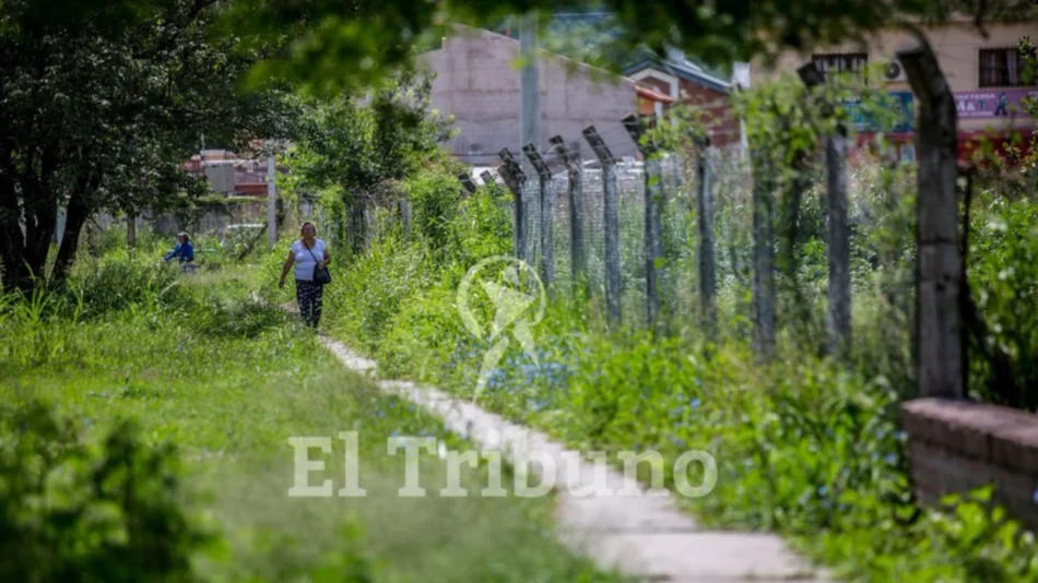 Escuelas con pastizales, en plena campaña contra el Aedes