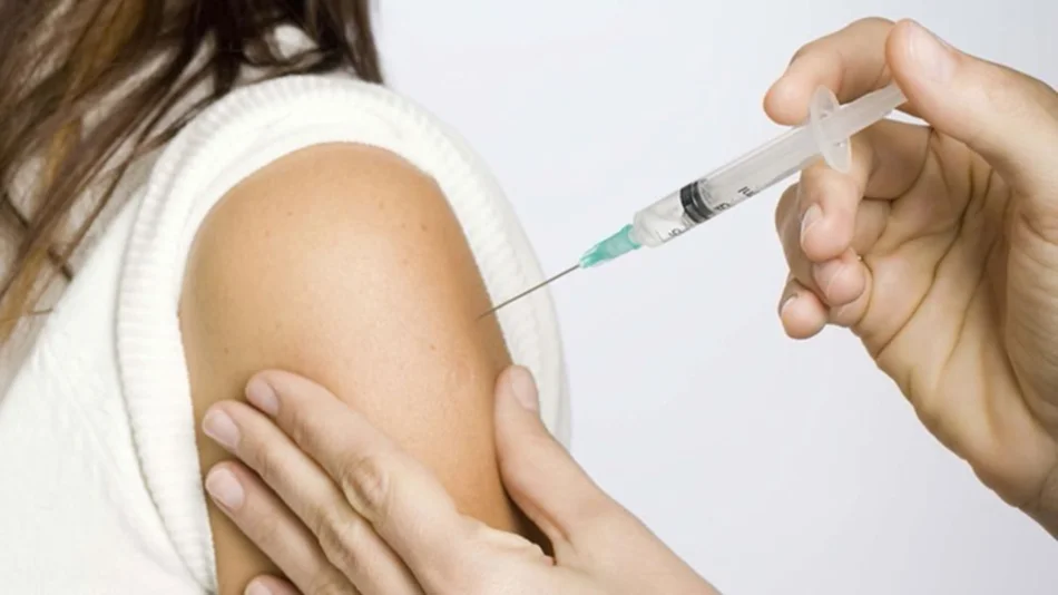 Advierten que la epidemia en Brasil puede "reintroducir" la fiebre amarilla en Argentina