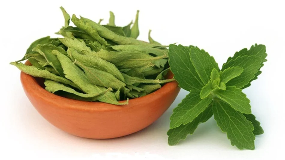 La stevia se sigue abriendo paso en la preferencia de los argentinos