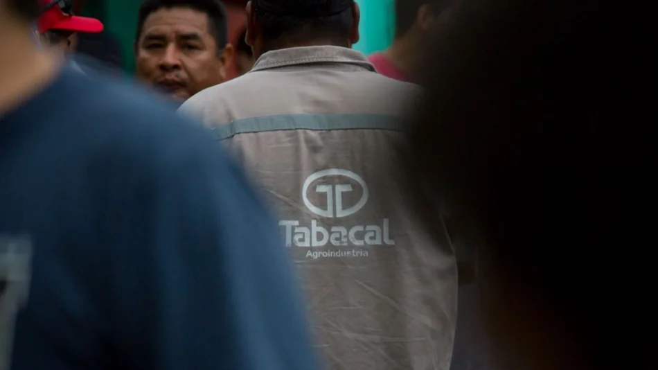 Tensa negociación por Tabacal: la conciliación fue a un cuarto intermedio