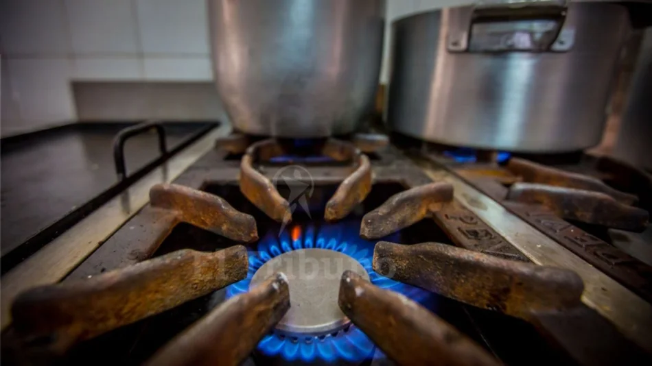 Conectaron gas a 1.200 familias