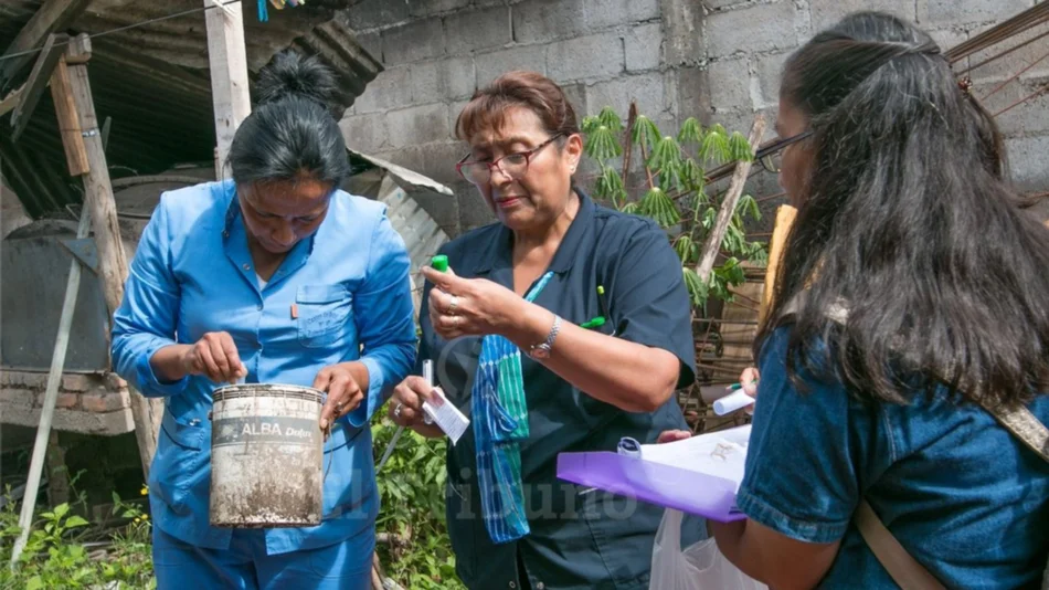 Aedes aegypti: apuntan a la falta de educación sanitaria para prevenir