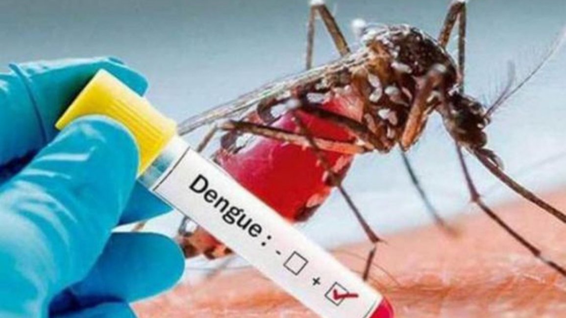 El 86% de los argentinos dice estar preocupado por el dengue