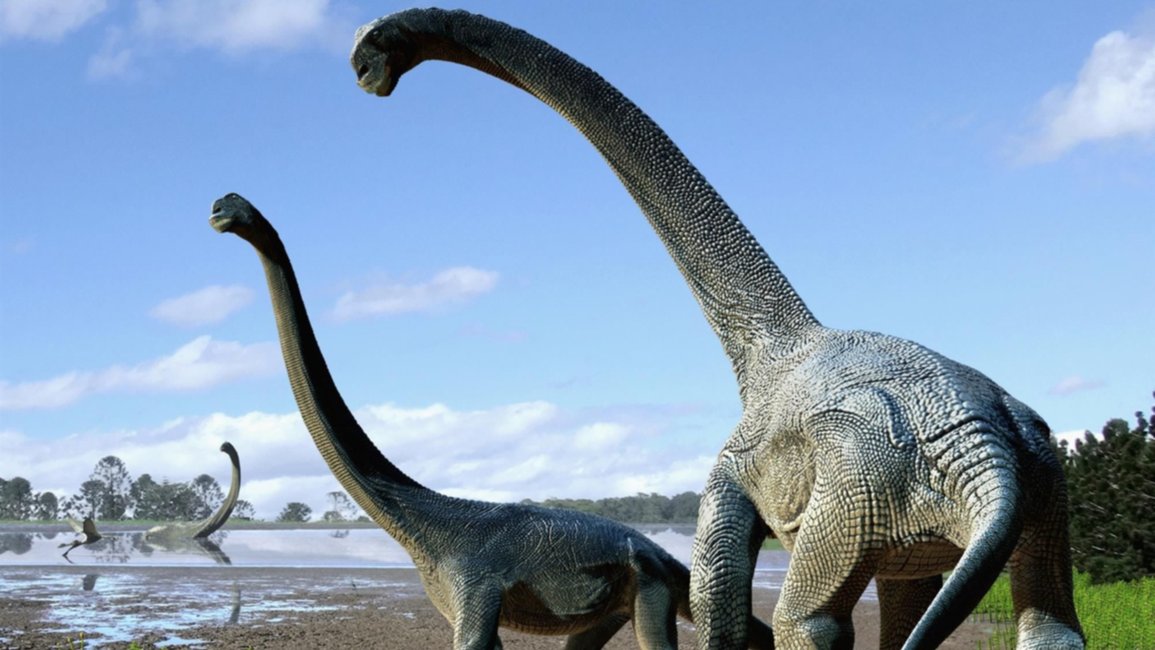 Descubren restos de una nueva especie de dinosaurio que sería el más grande de la historia