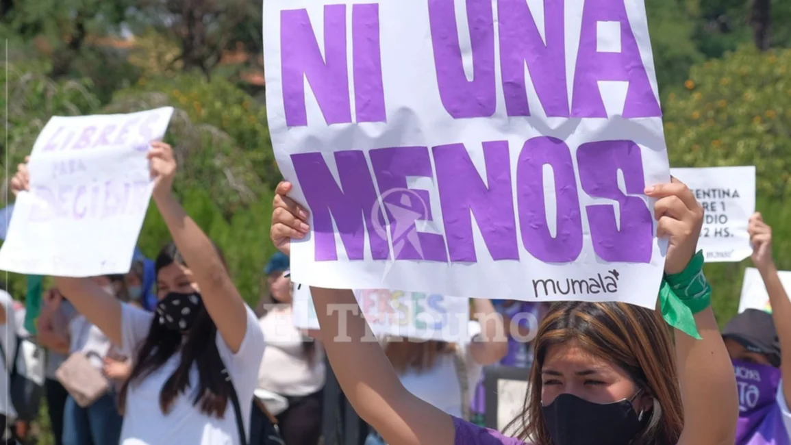 Piden una ayuda económica para los hijos e hijas de 30 mujeres asesinadas en Salta
