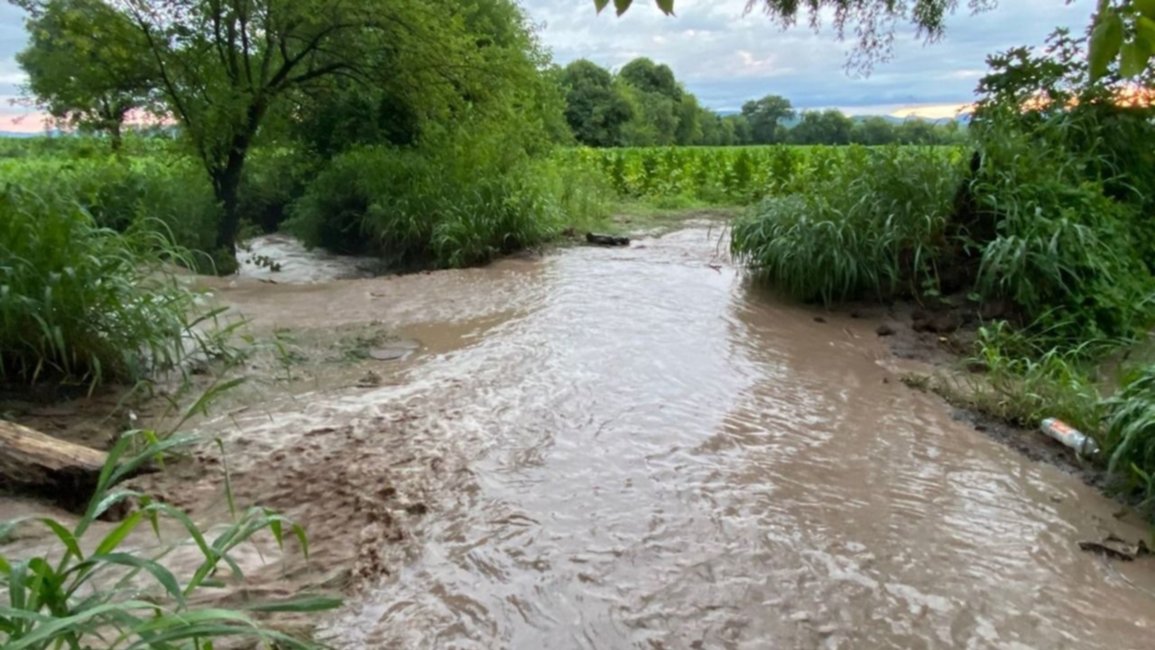 VIDEO. Productor afectado por una obra mal hecha, teme perder su finca