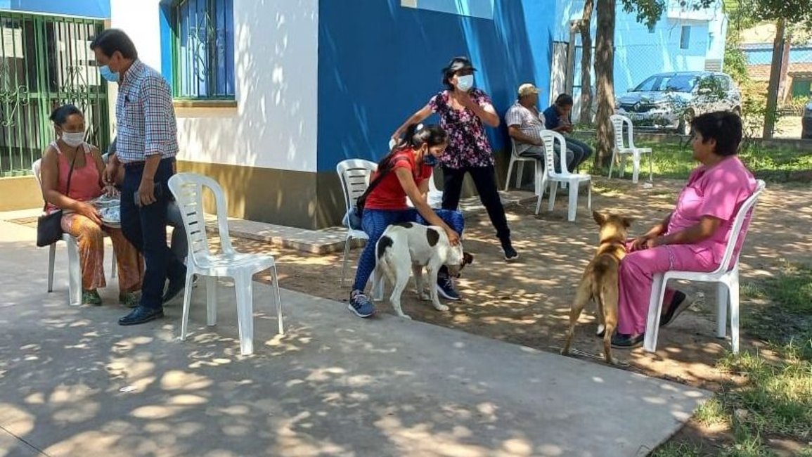 Comenzó una campaña de castraciones