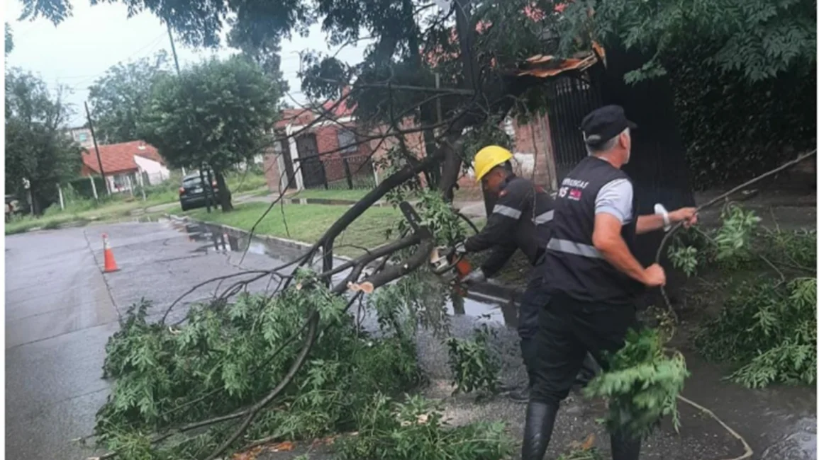 Caída de postes y árboles en la  ciudad de Salta