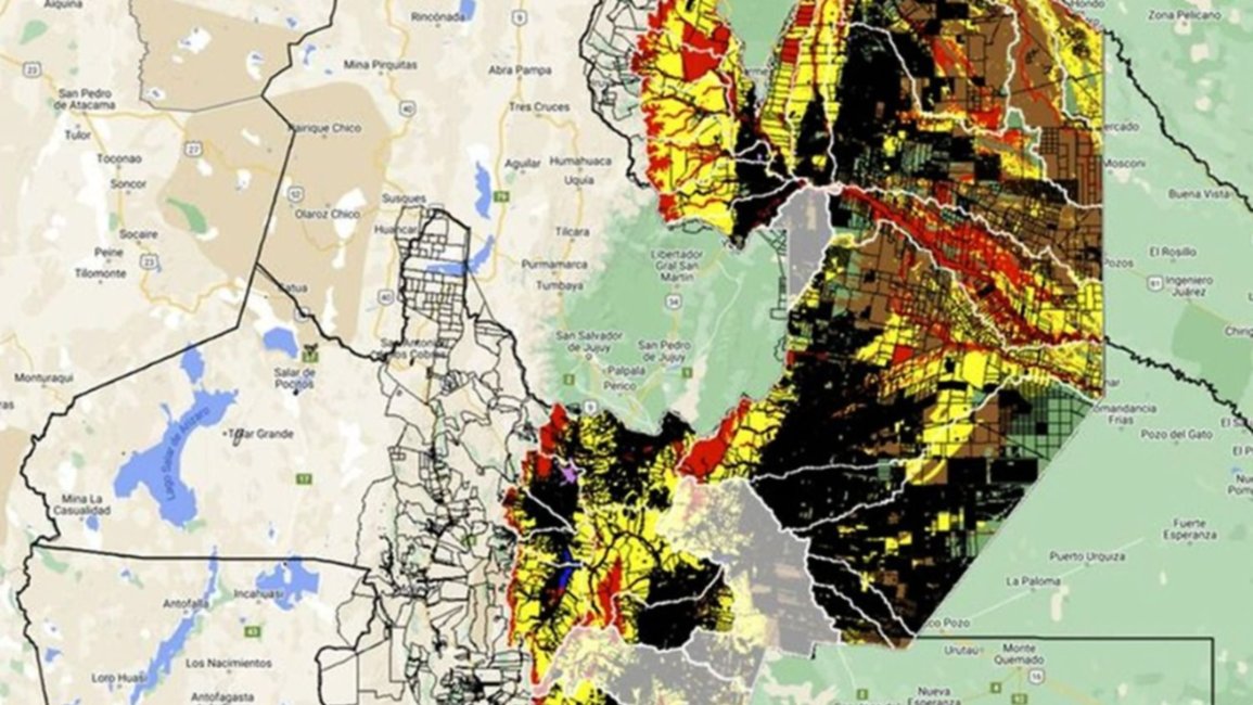Ley ómnibus: rechazan cambios al ordenamiento territorial de bosques