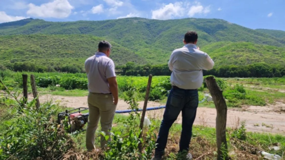 La Justicia instó a tomar medidas urgentes por la contaminación de verduras y hortalizas regadas con aguas del Arenales 