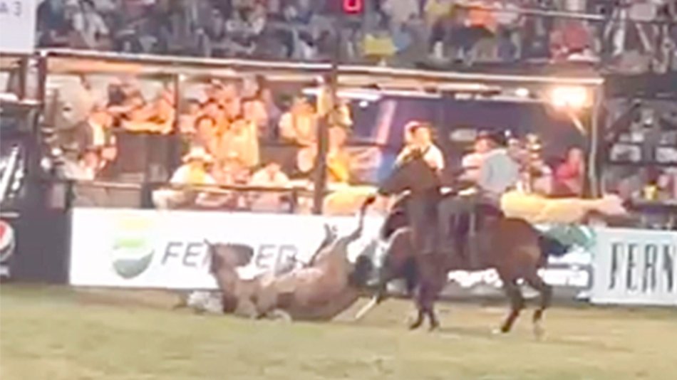 VIDEO. Lanzaron una campaña solidaria por el jinete salteño que sufrió una terrible lesión 