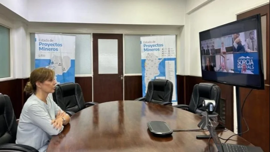 Reuniones de orden nacional en torno al litio salteño