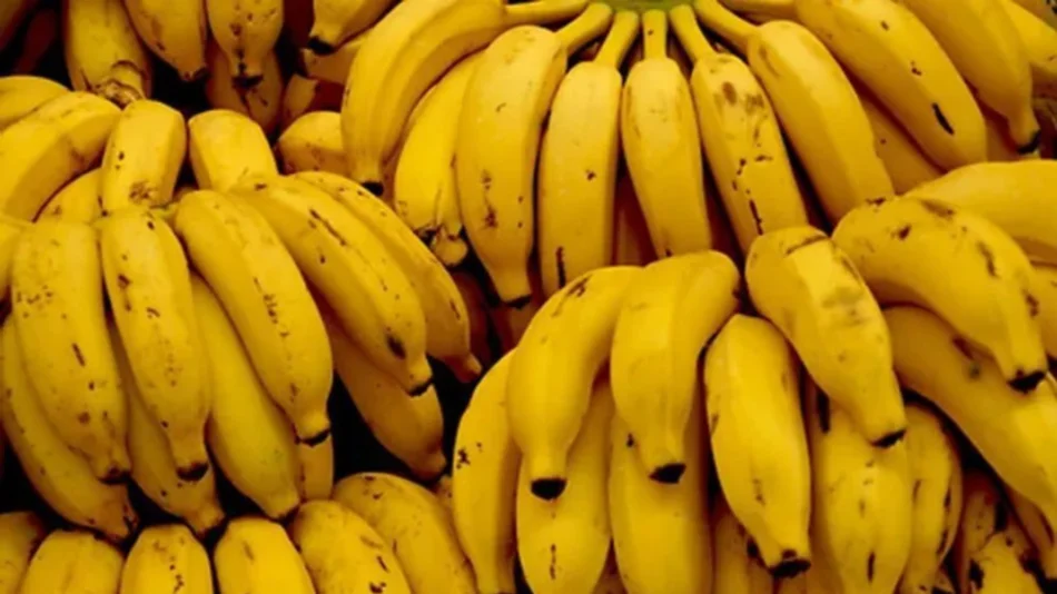 Salta se queda sin bananas por una disposición del Senasa: el precio se duplicó 
