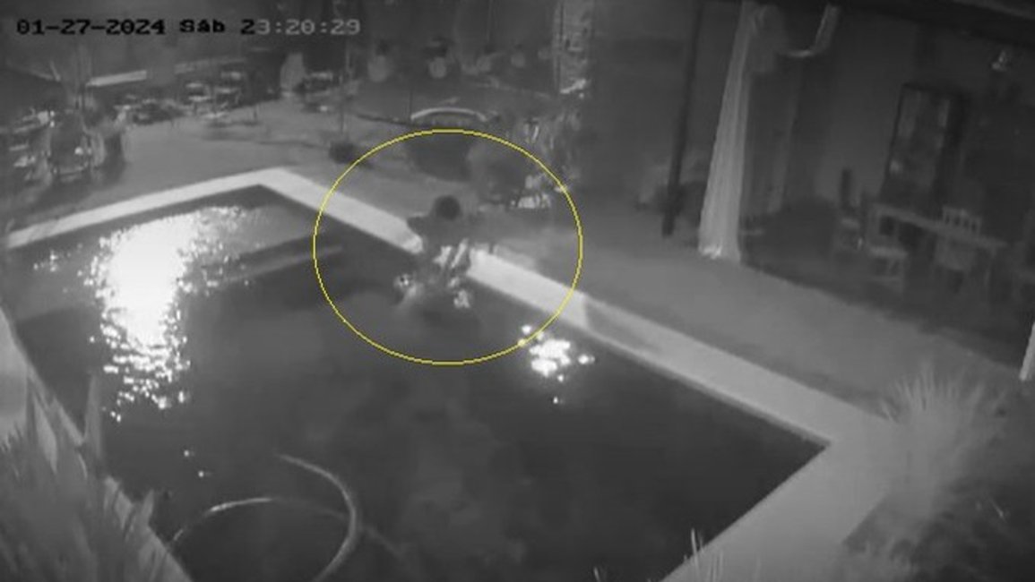 VIDEO. Horror en Chaco: un ladrón ahogó a un perro durante un robo