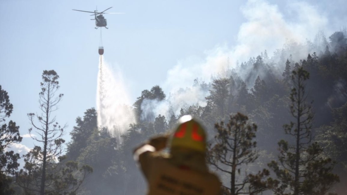 Alerta: ya son más de 2.000 las hectáreas quemadas en el Parque Nacional Los Alerces