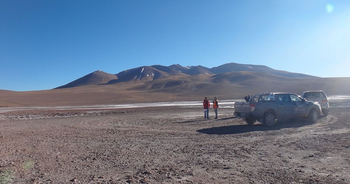 El desafío de Salta en un año crucial con el litio