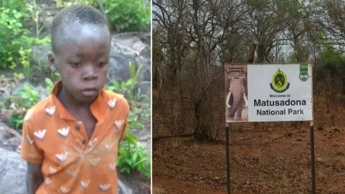 África: un nene de siete años sobrevivió cinco días en un Parque Nacional rodeado de leones y elefantes