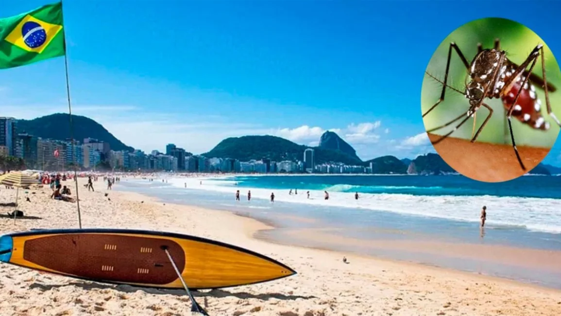 Preocupación por el brote de dengue en Brasil: consejos para los salteños que regresan de sus vacaciones 