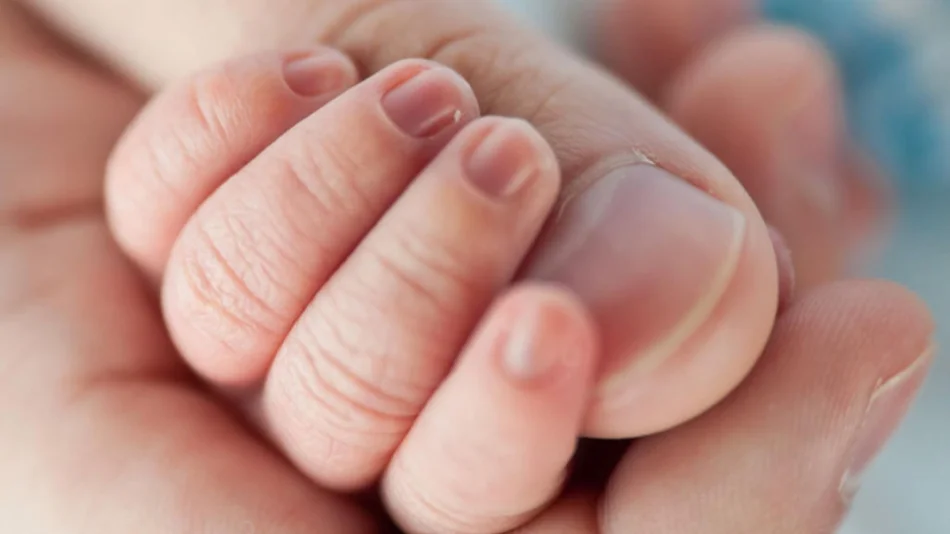 En 2024 nacieron más de 14 mil personas en Salta: conocé los nombres más elegidos