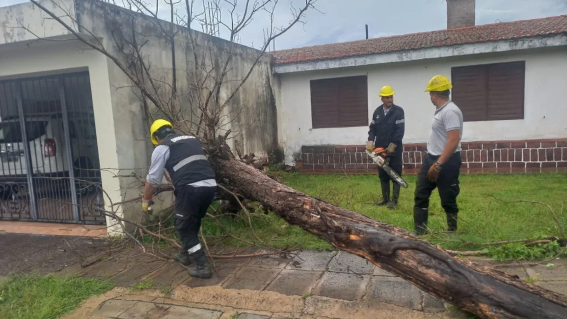 VIDEO. El tiempo en Salta: fuertes lluvias causan anegamientos, caída de árboles y cortes de luz
