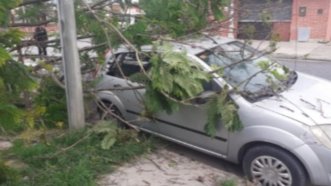 Fuerte temporal en Salta: una persona herida y daños materiales en varias localidades