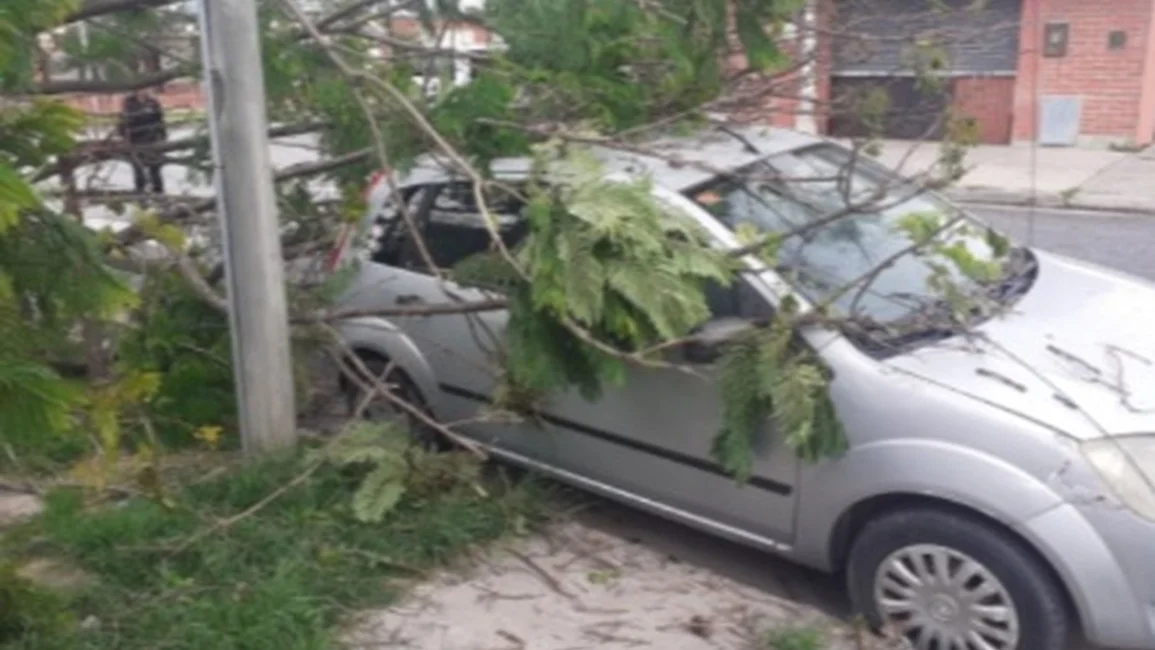 Fuerte temporal en Salta: una persona herida y daños materiales en varias localidades