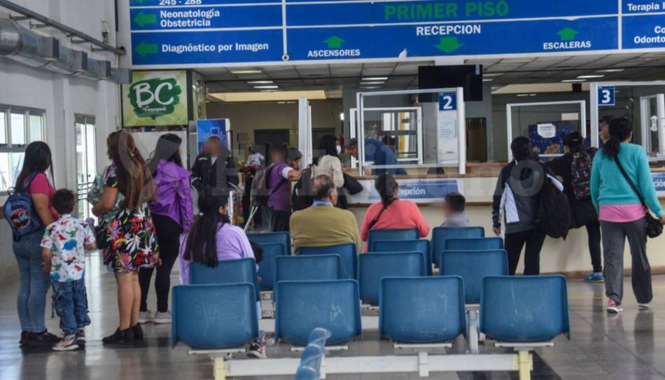 Mordeduras de perros: casi mil lesionados durante 2025