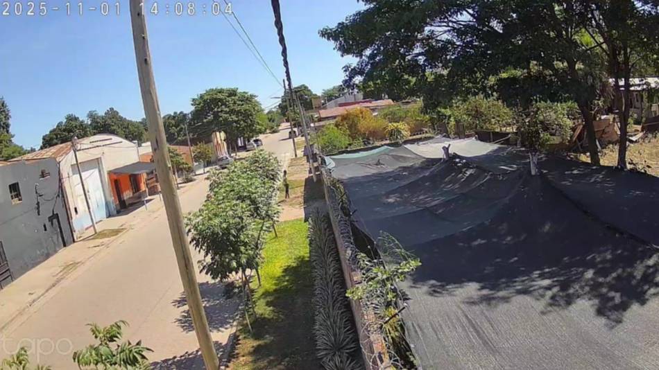 “Es el robo número 21”: una ingeniera de Embarcación denuncia años de ataques a su vivero