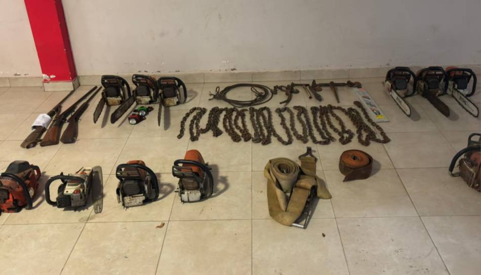 Siete detenidos, secuestraron 14 vehículos y armas de fuego: cayó una banda por el robo de madera en fincas de Tartagal