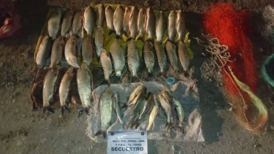 El impacto oculto de la pesca ilegal quedó al descubierto en la ruta provincial 5