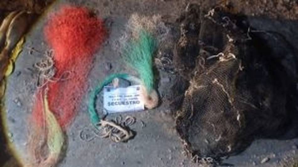 El impacto oculto de la pesca ilegal quedó al descubierto en la ruta provincial 5