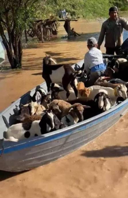 Dramática situación por la crecida del Bermejo