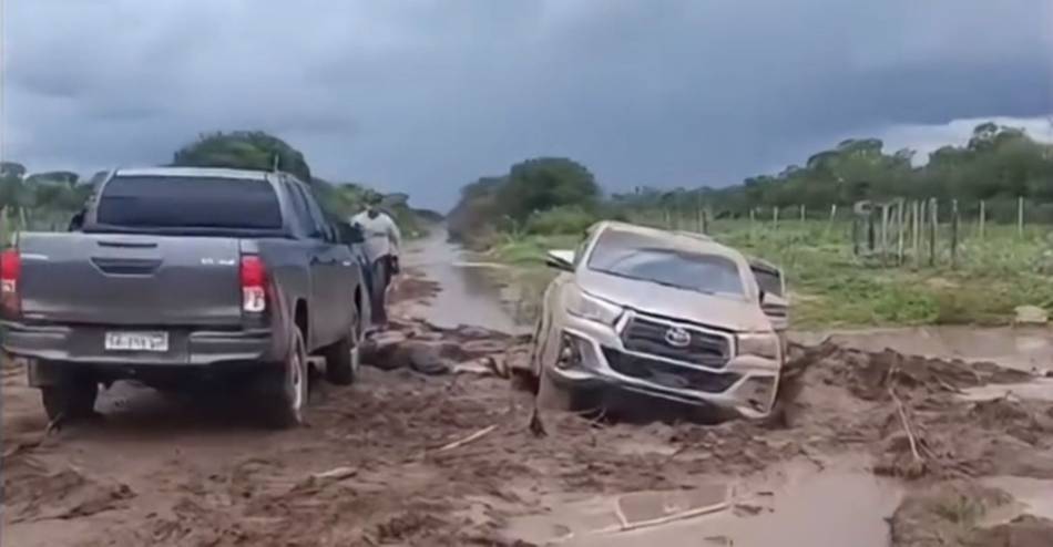 Detienen a salteños con 113 kilos de marihuana