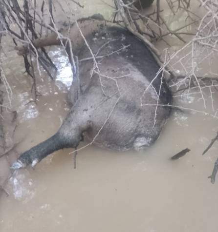 Sigue la pesadilla de las familias inundadas en Rivadavia Banda Sur