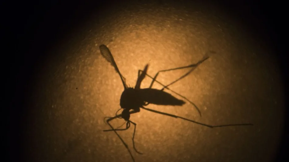 Ya hay 6 casos de zika confirmados en el país y crece el alerta