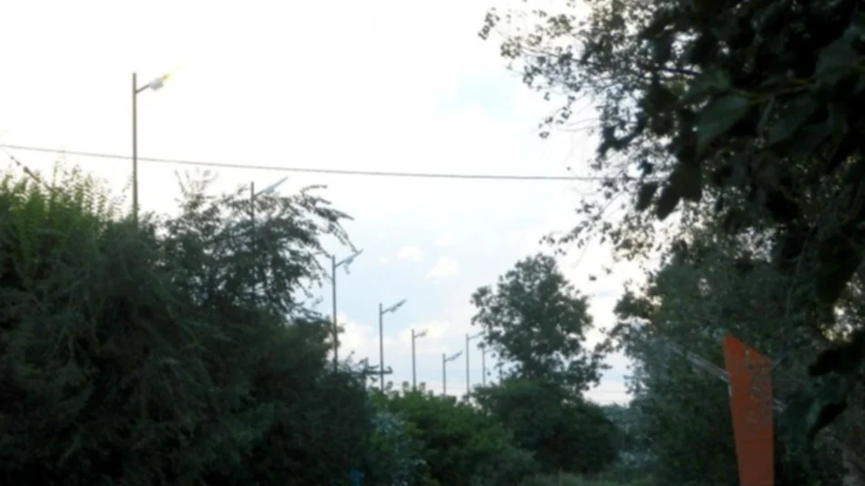 Sin presupuesto para luminarias en rutas