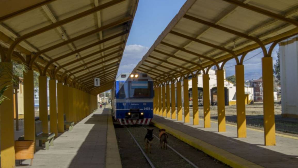 Sigue parado el tren a Güemes y el colectivo es 471 % más caro