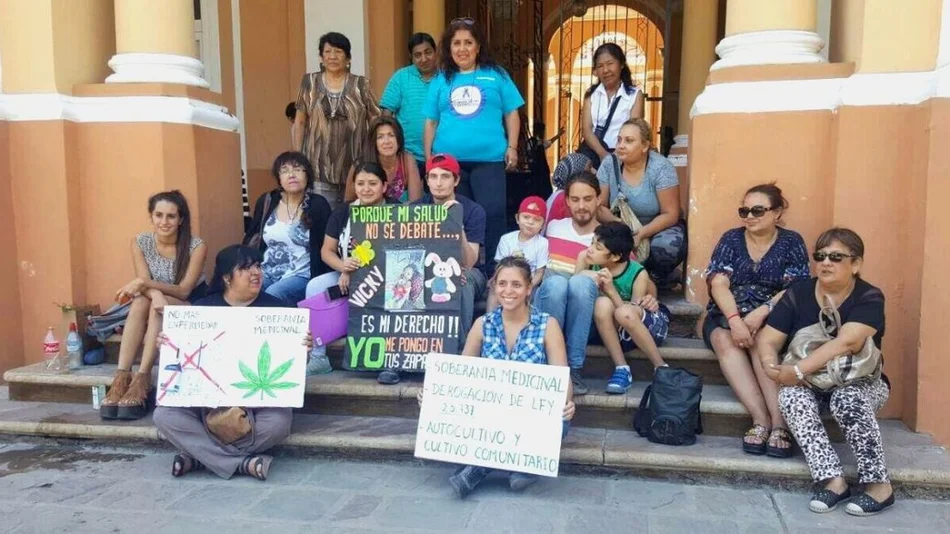 Polémica por el uso del cannabis medicinal