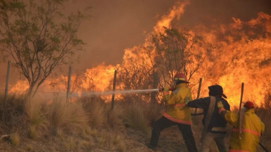 Declaran la emergencia en La Pampa: ya se quemaron 700 mil hectáreas