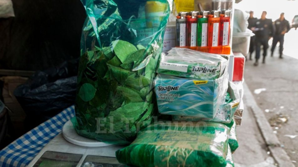 La coca llegó a los 1.000 pesos el kilo en los barrios de Salta