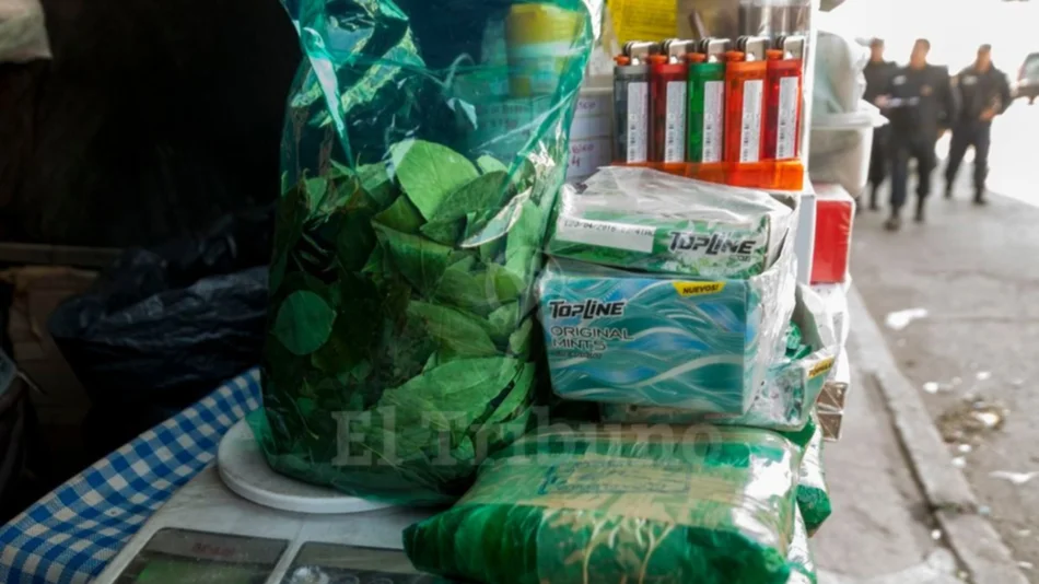 La coca llegó a los 1.000 pesos el kilo en los barrios de Salta