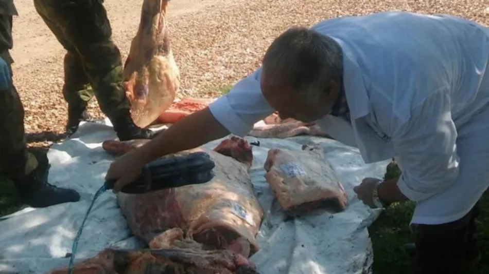 Intensificarán los controles sanitarios y fiscales de la carne