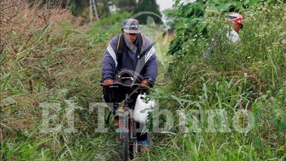 Terrenos baldíos  siguen sin limpiarse y son zona de peligro